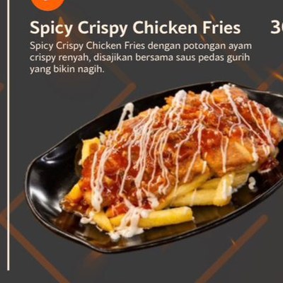Spicy Crispy Chicken Fries